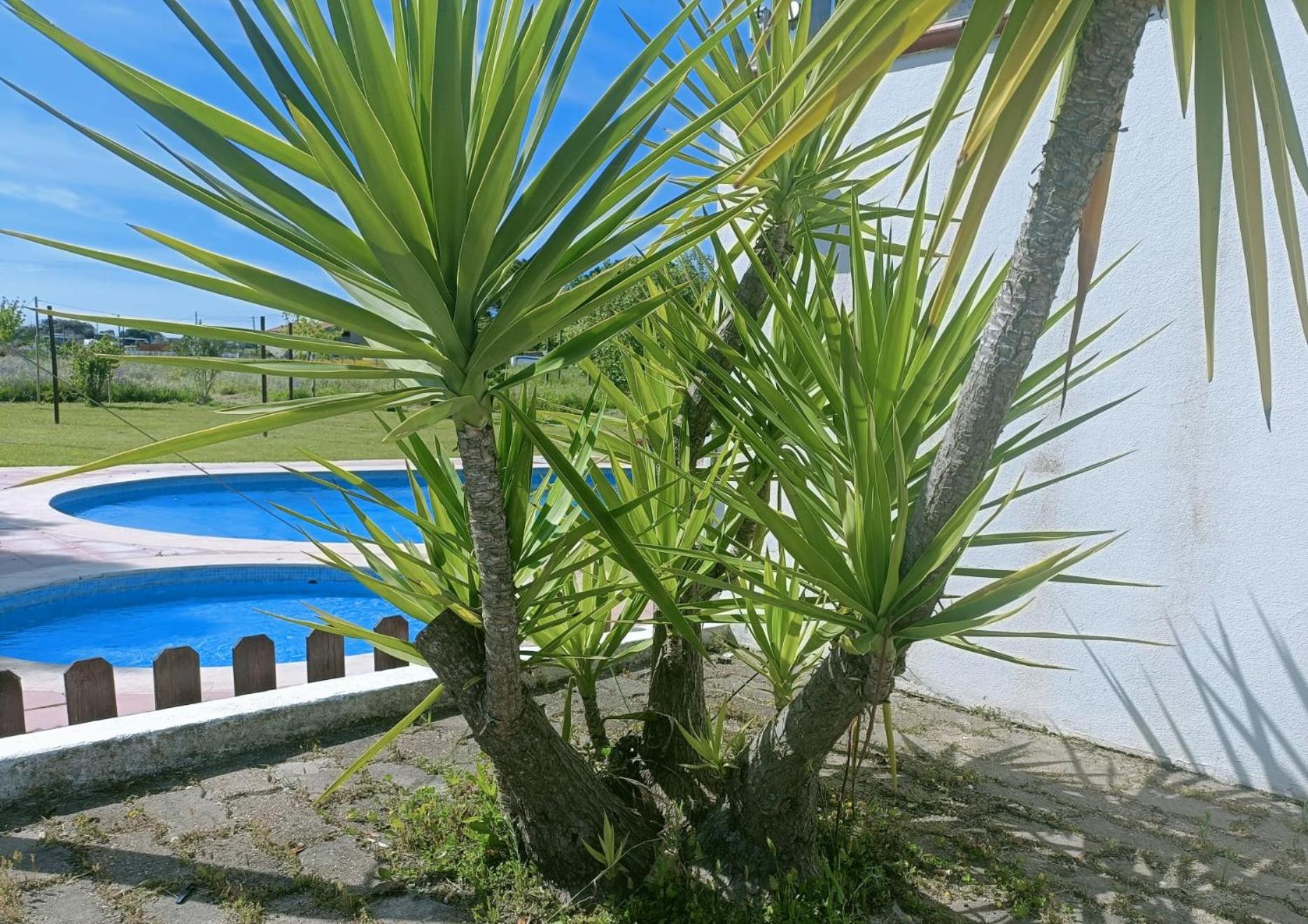 Casa Do Vale Hotel Évora Exterior foto
